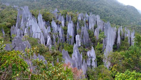  ハング・ナパマ山：ボルネオ島の大自然を体感する壮大な登山体験！