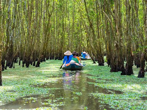  Xoài Tộc Pagoda：ベトナムの隠れた宝石、歴史と自然を満喫する