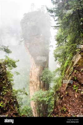 袁家界の壮大なる柱と神秘的な雲海！